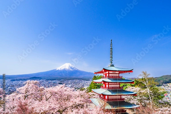 Fototapeta 春の新倉山浅間公園　富士山、五重塔、満開の桜【山梨県・富士吉田市】　
Mt. Fuji and the five storied pagoda seen from Arakurayama Sengen Park where the cherry blossoms are in full bloom - Yamanashi, Japan