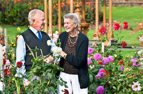 Obraz Laughter in the Dahlias