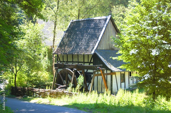 Obraz mühle im grünen