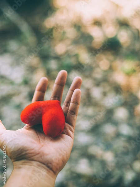 Obraz Hand holding a red heart