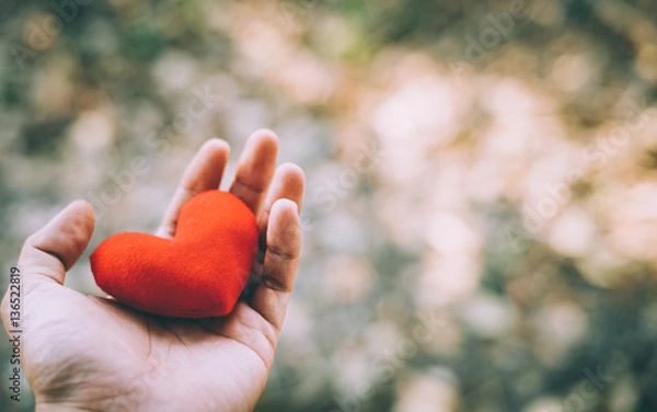 Obraz Hand holding a red heart