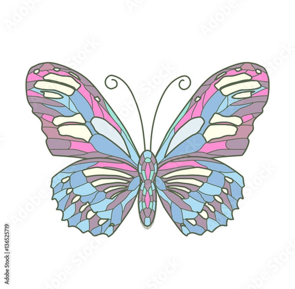 Fototapeta Vector illustration of color butterfly on white background