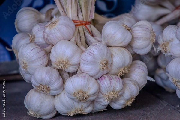 Obraz Fresh Garlic Bundle