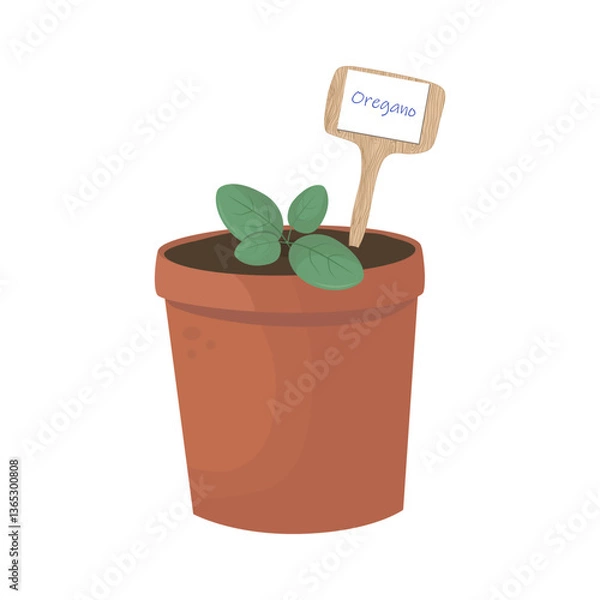 Obraz Oregano Seedling in Terracotta Pot with Garden Marker Vector Illustration