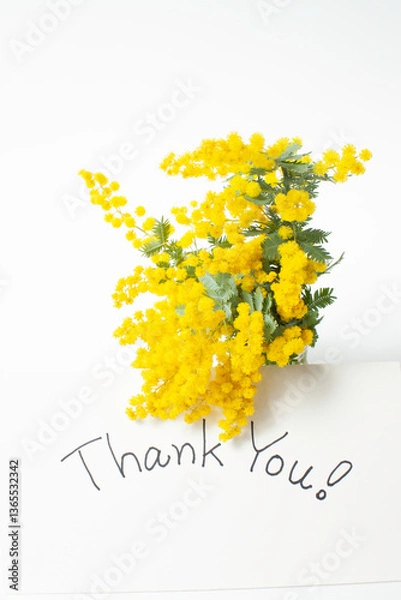Obraz ミモザの花束とメッセージカード