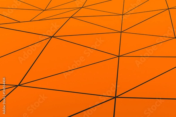 Obraz Colored low poly displaced surface with dark connecting lines
