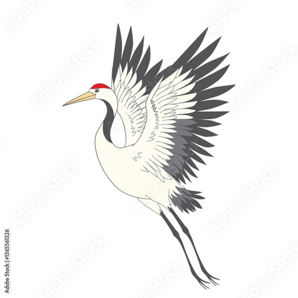 Obraz Japanese crane bird isolate on a white background. Vector graphics.