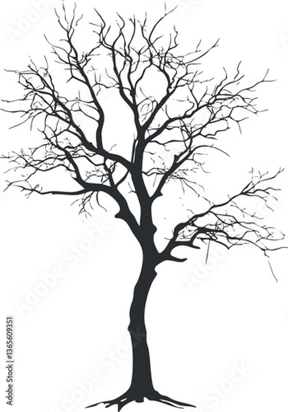 Fototapeta Silhouette of a bare tree with intricate branches for nature-themed designs.