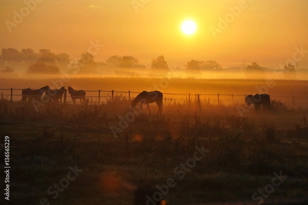 Obraz Sonnenaufgang / Sunrise