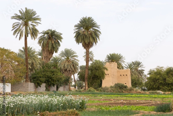 Obraz Beautiful landscape in the surroundings of Najran in Saudi Arabia