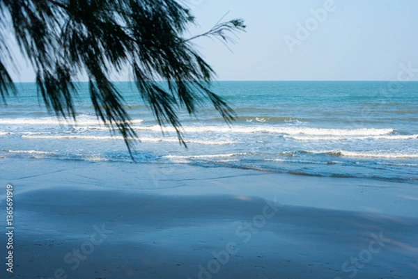 Obraz palm tree on the beach