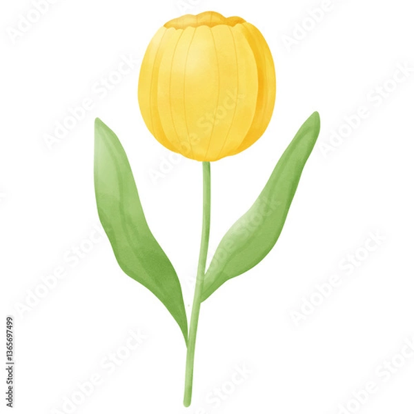 Obraz Yellow tulip