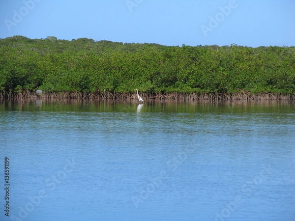 Obraz colombus island