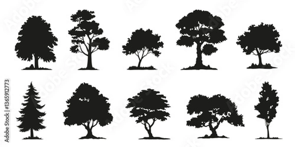 Obraz tree silhouettes on white background volume 1