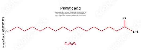 Fototapeta Palmitic acid or hexadecanoic, molecular structure formula, suitable for education or chemistry science content