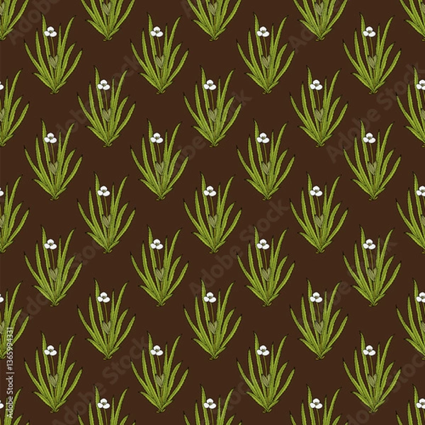 Fototapeta Seamless pattern with hand drawn Water soldier or water pineapple (Stratiotes aloides), aquatic medicinal plant.