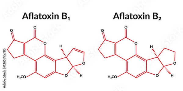 Obraz Aflatoxin B1 and B2 molecular structure formula, suitable for education or chemistry science content. Vector illustration