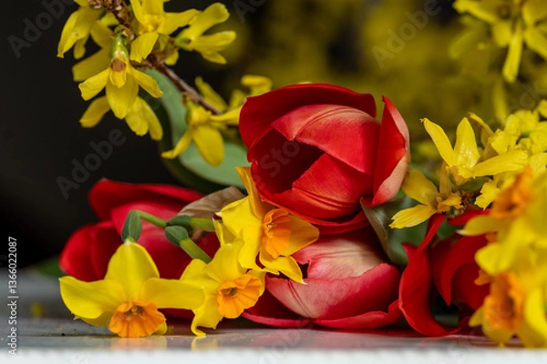 Obraz plantes et fleurs de printemps