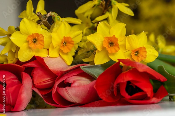 Obraz plantes et fleurs de printemps