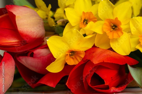 Obraz plantes et fleurs de printemps