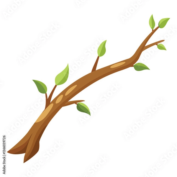 Fototapeta Closeup Tree Branch Isolated on White