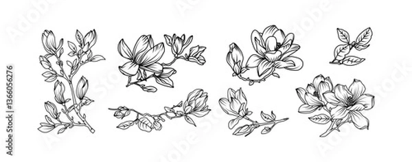 Fototapeta Magnolia flower arrangement line art on white background. Silhouette magnolia botanical hand drawn element for wedding, invitation frame design, vector illustration