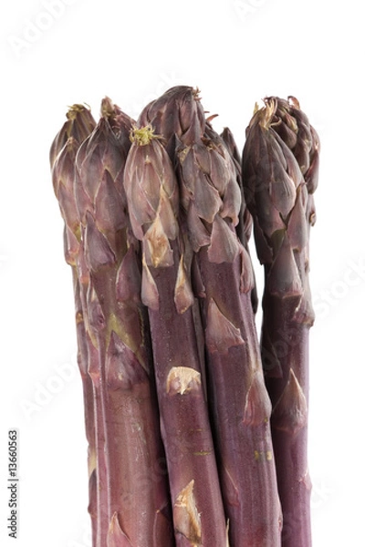 Obraz Purple Asparagus Spears Vertical
