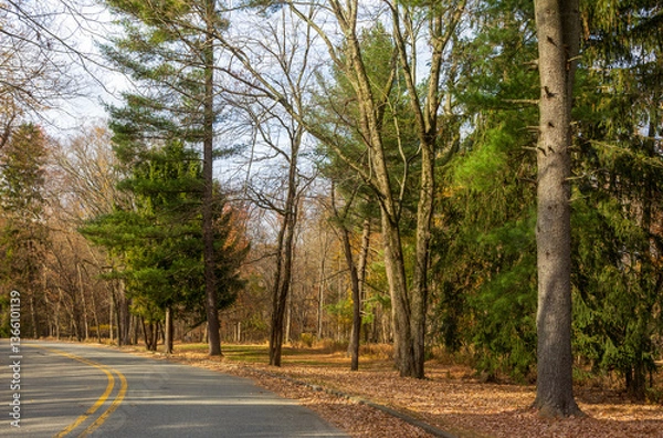 Fototapeta Katelyn Park and Saddle River Park in New Jersey. Scenic fall landscape.
