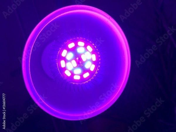 Obraz LED Plant Light