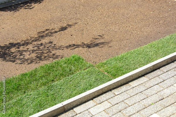Fototapeta Proper laying of green grass turf on a prepared leveled surface. The concept of gardening and landscape design. Copy-space.