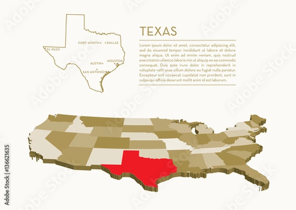 Obraz 3D USA State map - TEXAS