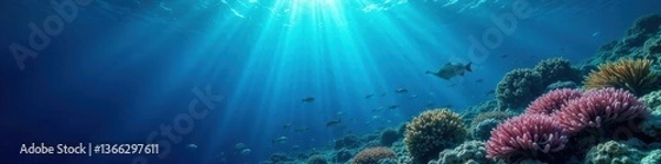 Obraz Dark blue ocean surface reflecting coral reef and schools of small fish, fish, blue