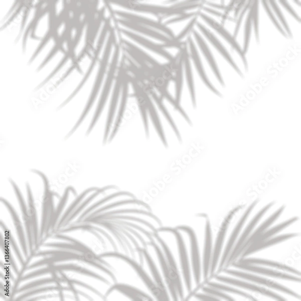 Obraz Realistic blurred leaf palm shadow effect isolated on transparent background. Plant foliage silhouette blur branch leaves shadow. mockup for product presentation design elements, PNG