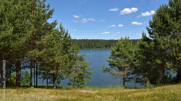 Obraz Jezioro śródleśne