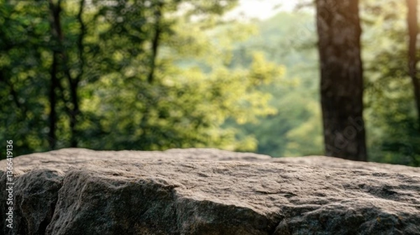 Fototapeta Forest stone table background nature