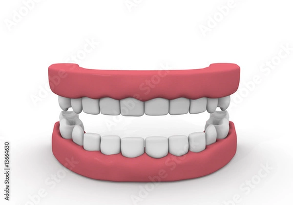 Obraz Denture