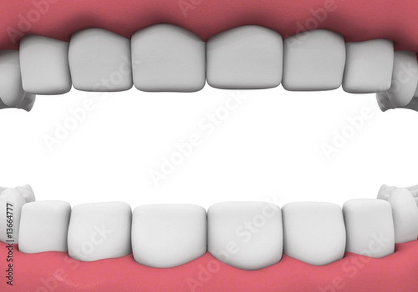 Obraz Denture close-up