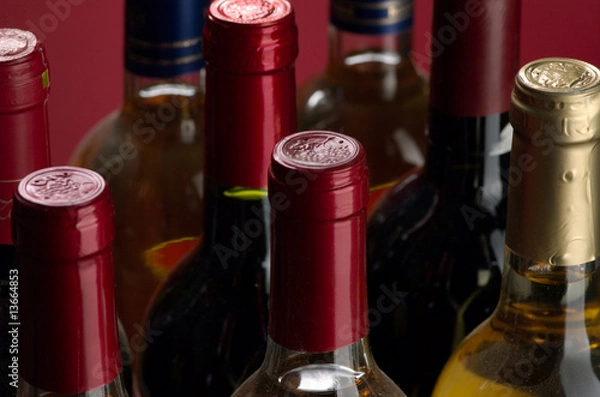Obraz white wine