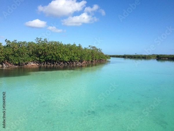 Fototapeta bahamas