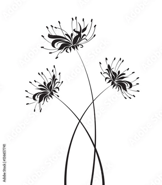 Fototapeta Vector Flower higanbana