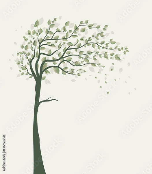 Obraz Tree with leaves