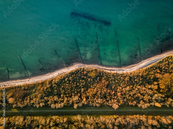 Fototapeta Aerial view of a stunning coastline with turquoise waters and golden autumn trees. A perfect blend of land and sea, showcasing the beauty of untouched nature.