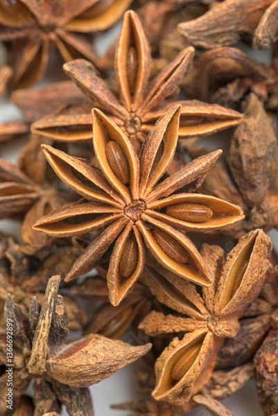 Fototapeta Illicium verum star anise eight horns with seeds for cooking and medicinal use vertically