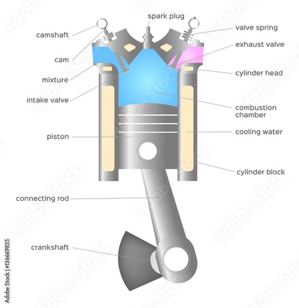 Fototapeta piston infographic . vector