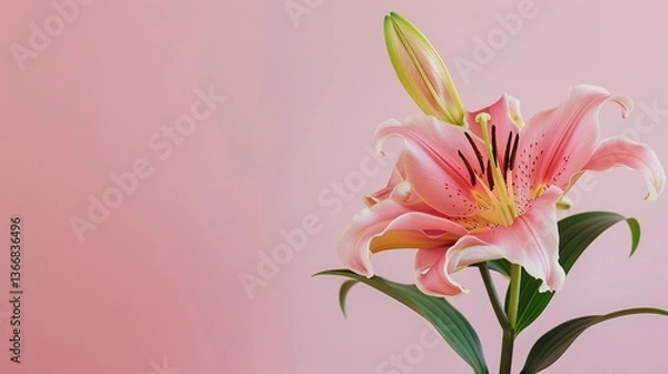 Fototapeta Mother's Day Lily Background: Praising the Eternal Hymn of Maternal Love's Glory with the Sanctity of Lilies