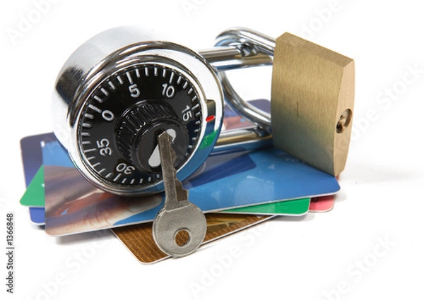 Obraz pay security