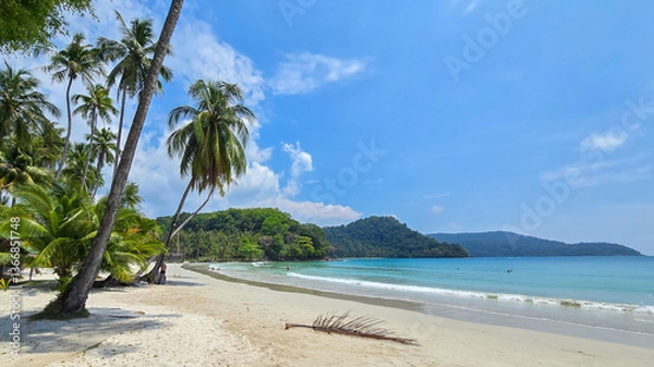 Fototapeta Relax on the stunning shores of Koh Kood Island, Thailand. Towering palm trees sway above golden sands, while gentle waves lap the beach under the vibrant blue sky.