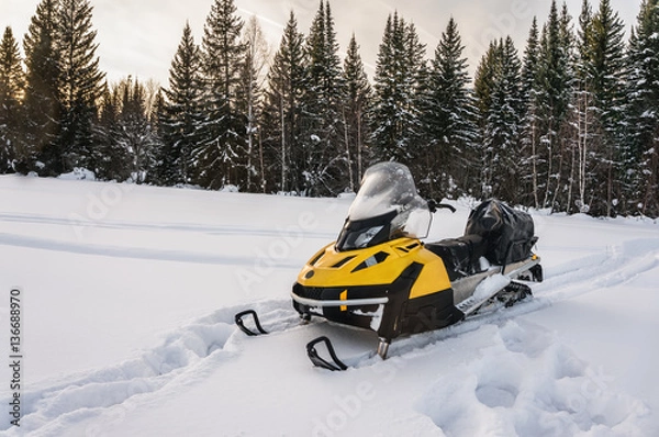 Obraz Snowmobile