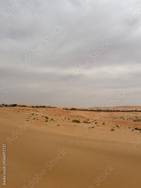 Obraz sand dunes in the desert