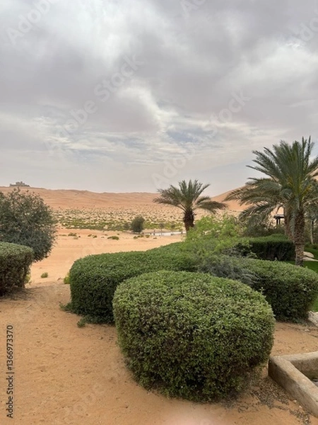 Obraz Greenery in desert